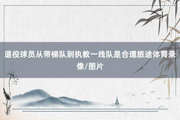 退役球员从带梯队到执教一线队是合理旅途体育录像/图片