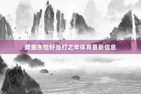 樊振东恰好当打之年体育最新信息