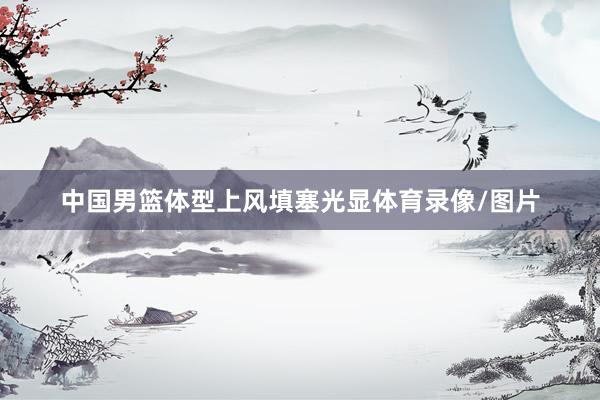 中国男篮体型上风填塞光显体育录像/图片