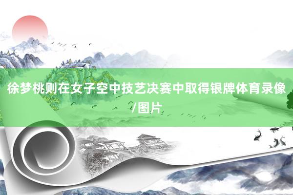 徐梦桃则在女子空中技艺决赛中取得银牌体育录像/图片