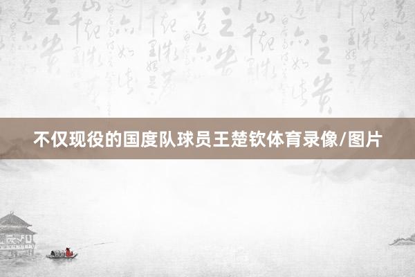 不仅现役的国度队球员王楚钦体育录像/图片