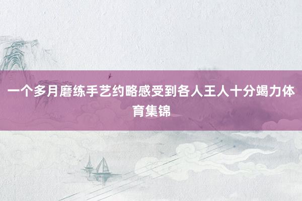 一个多月磨练手艺约略感受到各人王人十分竭力体育集锦