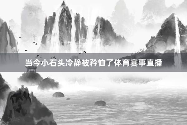 当今小石头冷静被矜恤了体育赛事直播