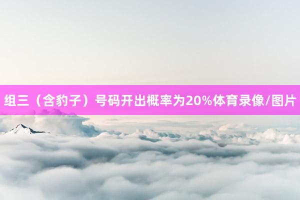 组三（含豹子）号码开出概率为20%体育录像/图片
