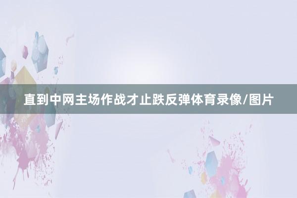 直到中网主场作战才止跌反弹体育录像/图片