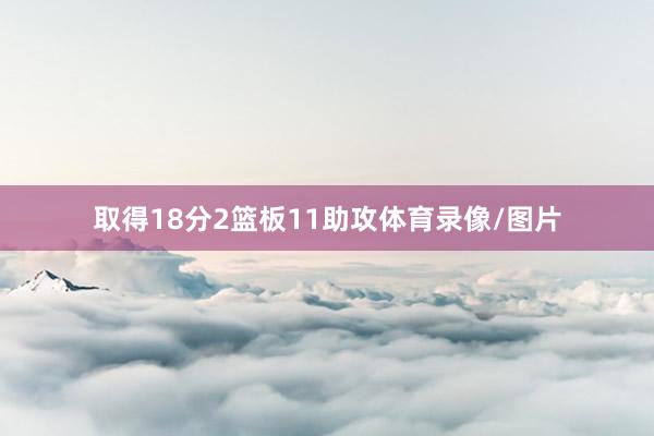 取得18分2篮板11助攻体育录像/图片