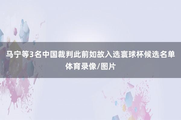 马宁等3名中国裁判此前如故入选寰球杯候选名单体育录像/图片