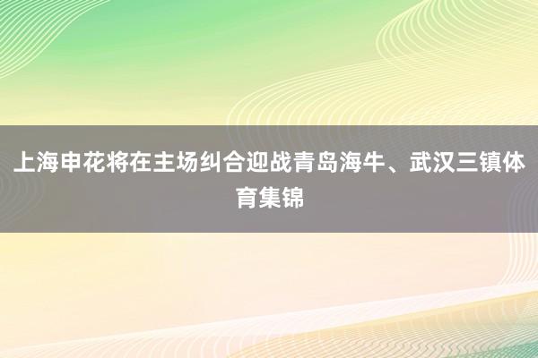 上海申花将在主场纠合迎战青岛海牛、武汉三镇体育集锦