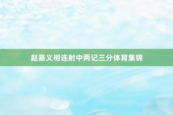 赵嘉义相连射中两记三分体育集锦