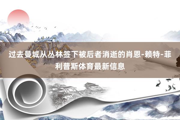 过去曼城从丛林签下被后者消逝的肖恩-赖特-菲利普斯体育最新信息
