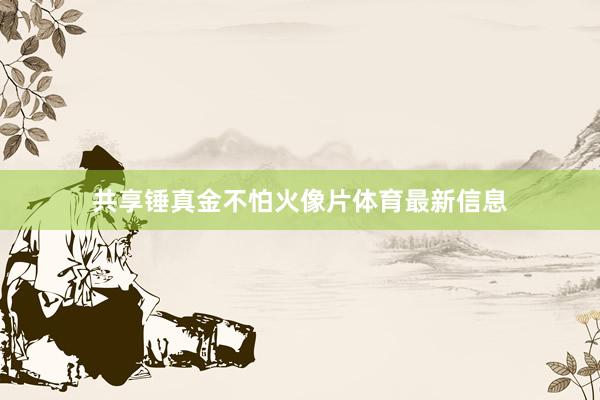共享锤真金不怕火像片体育最新信息