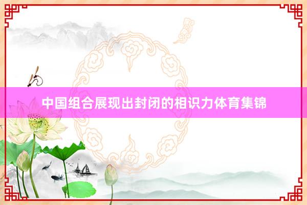 中国组合展现出封闭的相识力体育集锦