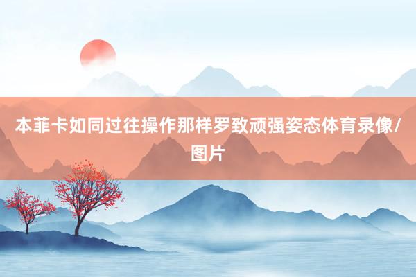 本菲卡如同过往操作那样罗致顽强姿态体育录像/图片