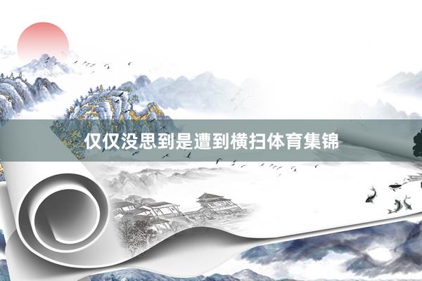 仅仅没思到是遭到横扫体育集锦