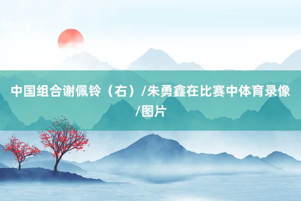 中国组合谢佩铃（右）/朱勇鑫在比赛中体育录像/图片