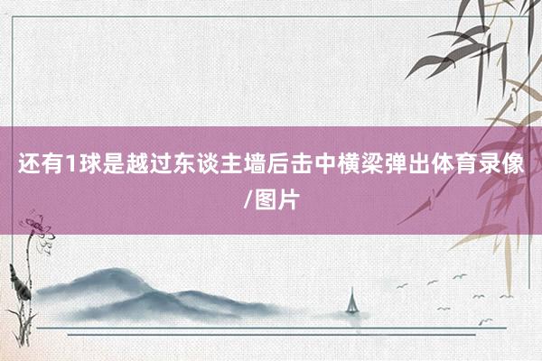 还有1球是越过东谈主墙后击中横梁弹出体育录像/图片