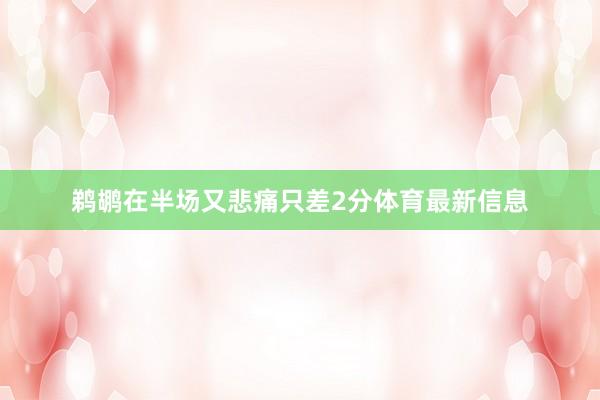 鹈鹕在半场又悲痛只差2分体育最新信息