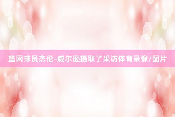 篮网球员杰伦-威尔逊摄取了采访体育录像/图片