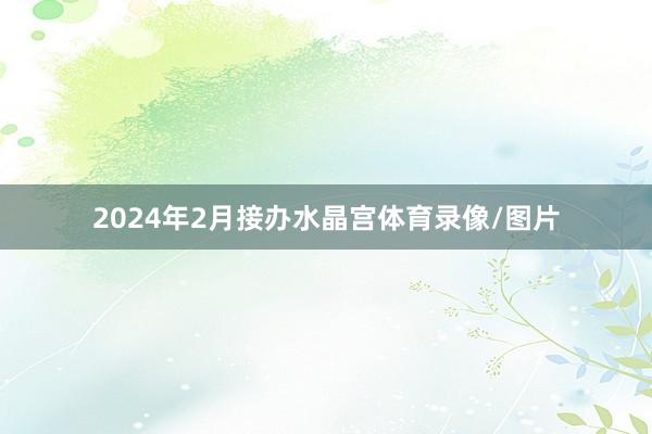 2024年2月接办水晶宫体育录像/图片