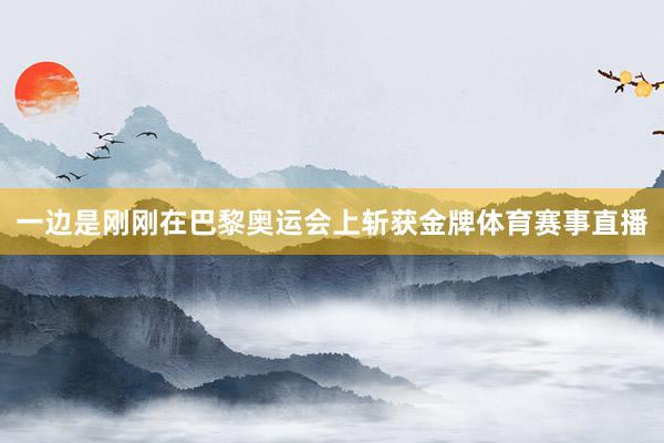 一边是刚刚在巴黎奥运会上斩获金牌体育赛事直播