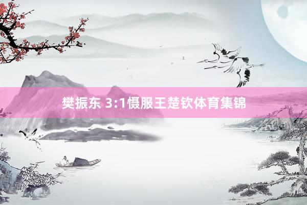 樊振东 3:1慑服王楚钦体育集锦