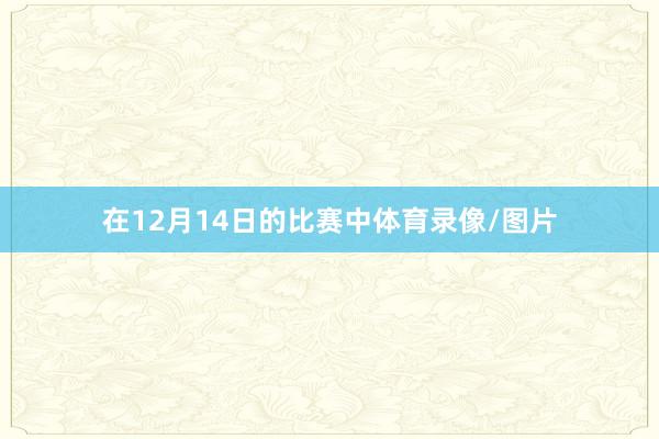 在12月14日的比赛中体育录像/图片