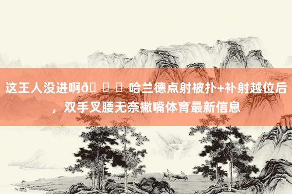 这王人没进啊😕哈兰德点射被扑+补射越位后，双手叉腰无奈撇嘴体育最新信息