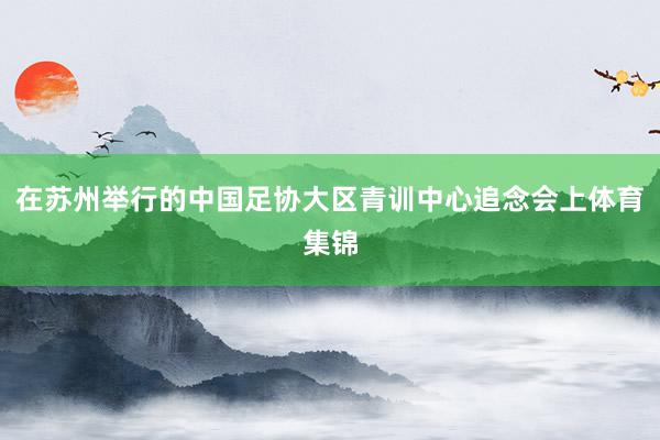 在苏州举行的中国足协大区青训中心追念会上体育集锦