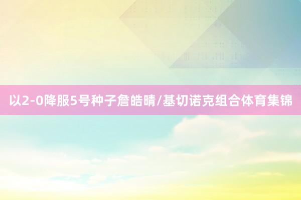 以2-0降服5号种子詹皓晴/基切诺克组合体育集锦