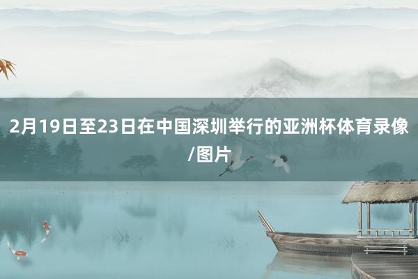 2月19日至23日在中国深圳举行的亚洲杯体育录像/图片
