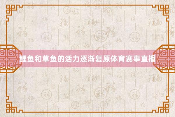 鲤鱼和草鱼的活力逐渐复原体育赛事直播