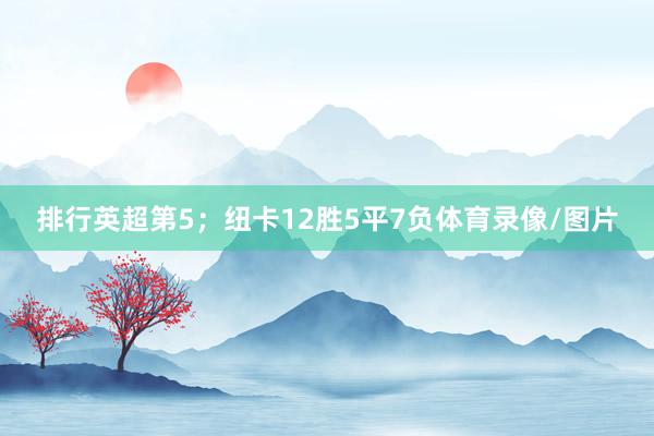 排行英超第5；纽卡12胜5平7负体育录像/图片